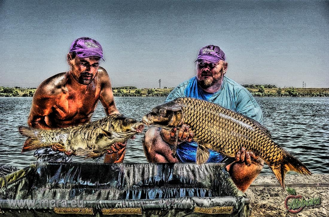 MeetCarp Romanian Awards 2013 (2) - 1017201hdrmode2-2.jpg